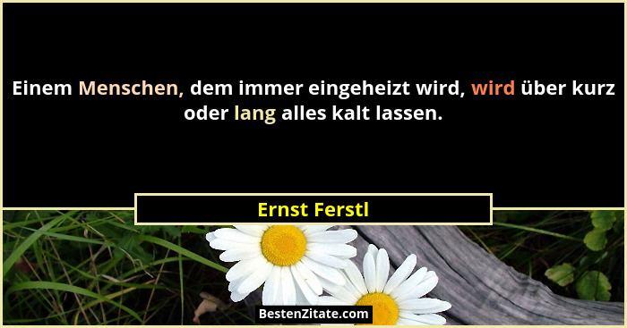 Einem Menschen, dem immer eingeheizt wird, wird über kurz oder lang alles kalt lassen.... - Ernst Ferstl