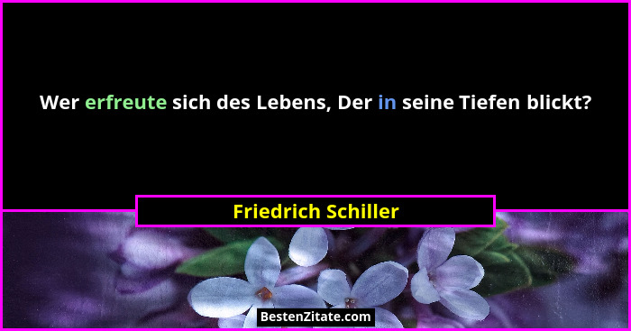 Wer erfreute sich des Lebens, Der in seine Tiefen blickt?... - Friedrich Schiller