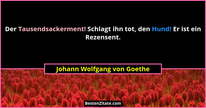 Der Tausendsackerment! Schlagt ihn tot, den Hund! Er ist ein Rezensent.... - Johann Wolfgang von Goethe