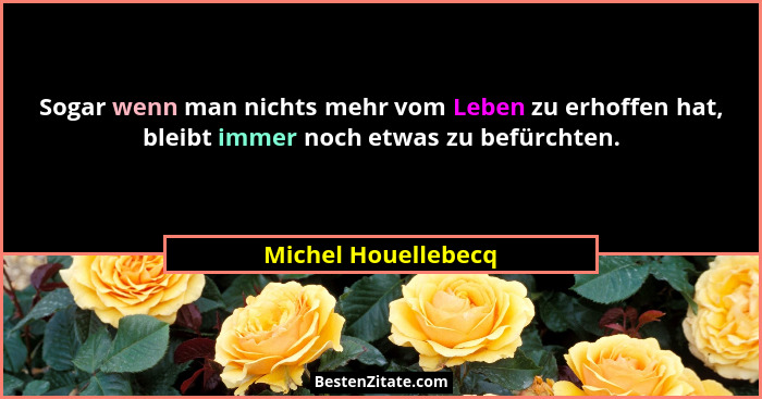 Sogar wenn man nichts mehr vom Leben zu erhoffen hat, bleibt immer noch etwas zu befürchten.... - Michel Houellebecq
