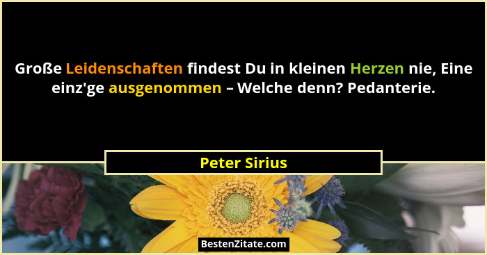 Große Leidenschaften findest Du in kleinen Herzen nie, Eine einz'ge ausgenommen – Welche denn? Pedanterie.... - Peter Sirius