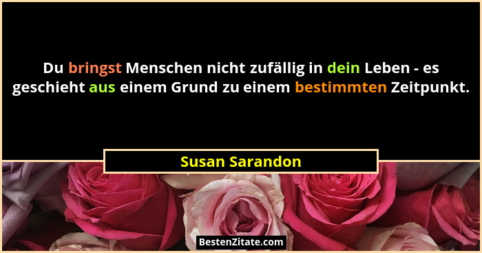 Du bringst Menschen nicht zufällig in dein Leben - es geschieht aus einem Grund zu einem bestimmten Zeitpunkt.... - Susan Sarandon