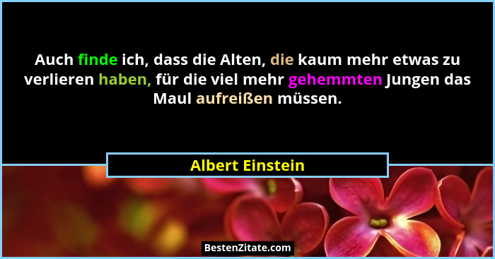 Auch finde ich, dass die Alten, die kaum mehr etwas zu verlieren haben, für die viel mehr gehemmten Jungen das Maul aufreißen müssen... - Albert Einstein