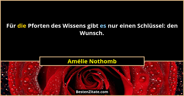 Für die Pforten des Wissens gibt es nur einen Schlüssel: den Wunsch.... - Amélie Nothomb