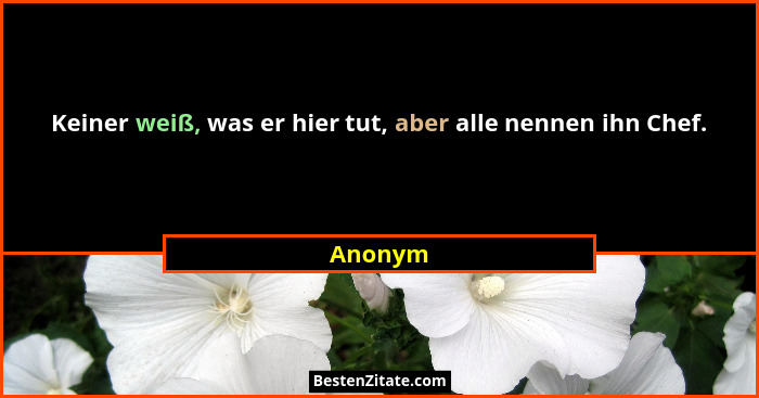 Keiner weiß, was er hier tut, aber alle nennen ihn Chef.... - Anonym