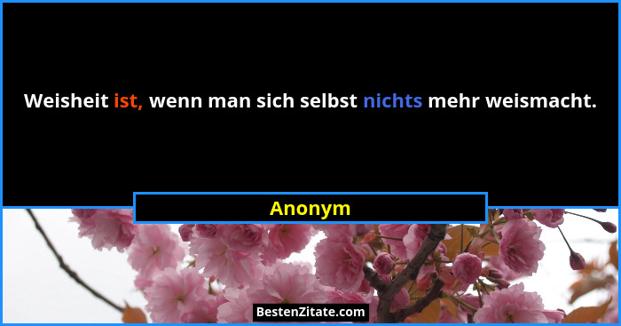 Weisheit ist, wenn man sich selbst nichts mehr weismacht.... - Anonym