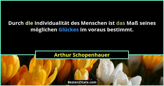Durch die Individualität des Menschen ist das Maß seines möglichen Glückes im voraus bestimmt.... - Arthur Schopenhauer