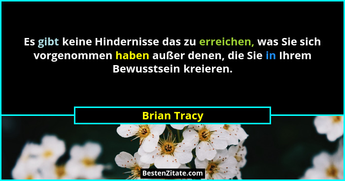 Es gibt keine Hindernisse das zu erreichen, was Sie sich vorgenommen haben außer denen, die Sie in Ihrem Bewusstsein kreieren.... - Brian Tracy