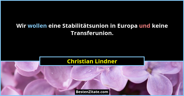 Wir wollen eine Stabilitätsunion in Europa und keine Transferunion.... - Christian Lindner