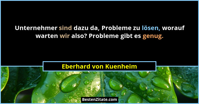 Unternehmer sind dazu da, Probleme zu lösen, worauf warten wir also? Probleme gibt es genug.... - Eberhard von Kuenheim