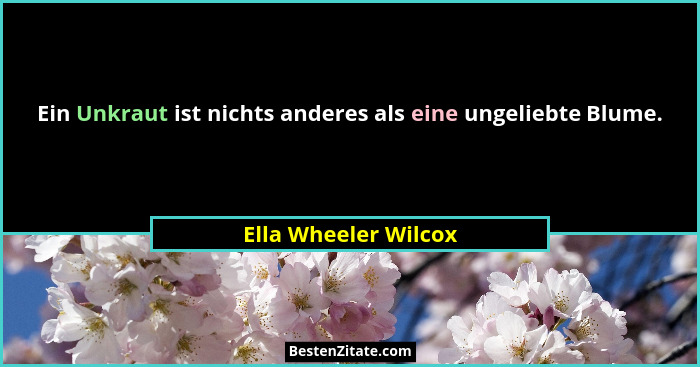 Ein Unkraut ist nichts anderes als eine ungeliebte Blume.... - Ella Wheeler Wilcox