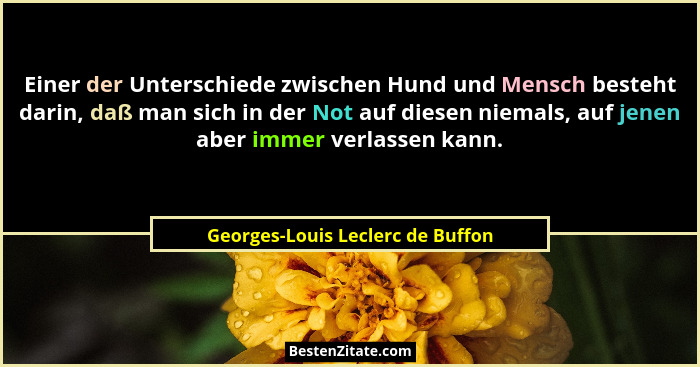Einer der Unterschiede zwischen Hund und Mensch besteht darin, daß man sich in der Not auf diesen niemals, auf jenen... - Georges-Louis Leclerc de Buffon
