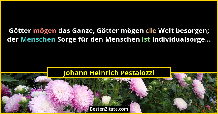 Götter mögen das Ganze, Götter mögen die Welt besorgen; der Menschen Sorge für den Menschen ist Individualsorge...... - Johann Heinrich Pestalozzi