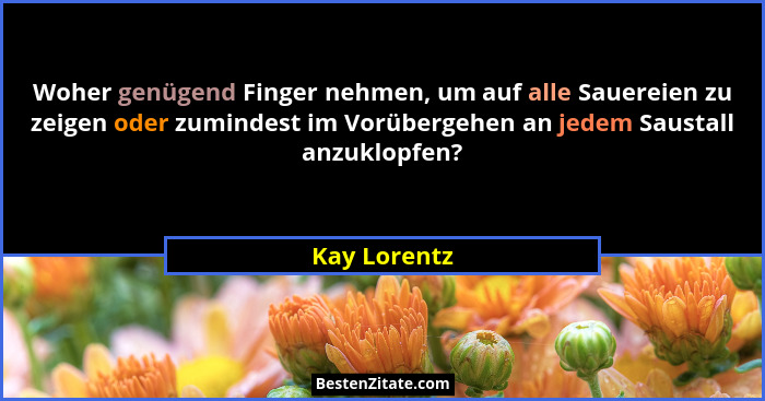 Woher genügend Finger nehmen, um auf alle Sauereien zu zeigen oder zumindest im Vorübergehen an jedem Saustall anzuklopfen?... - Kay Lorentz