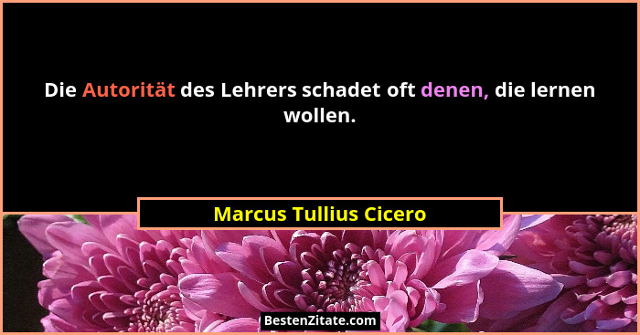 Die Autorität des Lehrers schadet oft denen, die lernen wollen.... - Marcus Tullius Cicero
