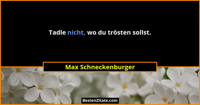 Tadle nicht, wo du trösten sollst.... - Max Schneckenburger