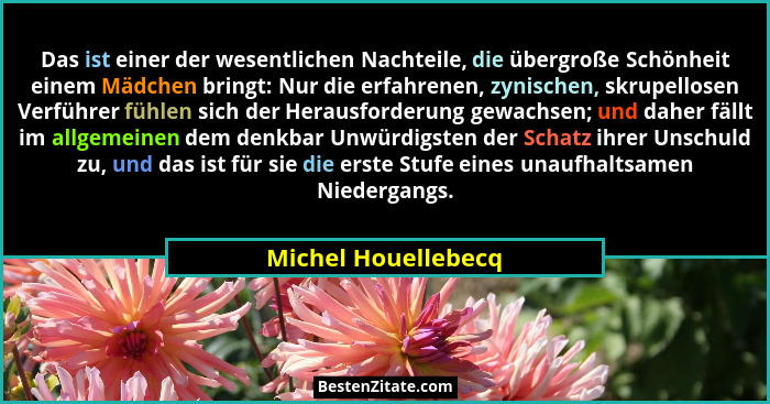Das ist einer der wesentlichen Nachteile, die übergroße Schönheit einem Mädchen bringt: Nur die erfahrenen, zynischen, skrupellos... - Michel Houellebecq