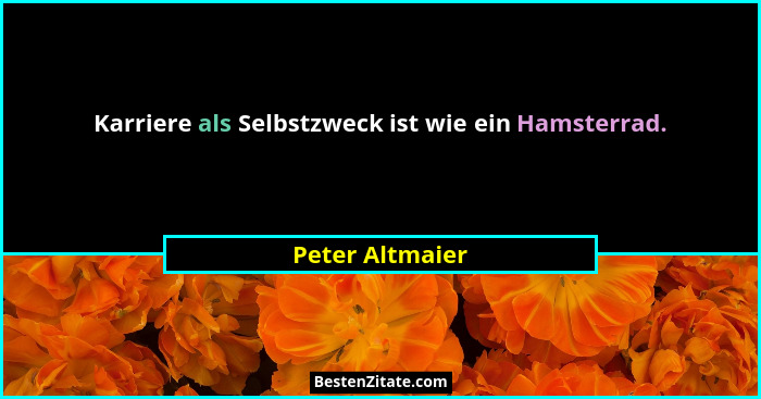 Karriere als Selbstzweck ist wie ein Hamsterrad.... - Peter Altmaier