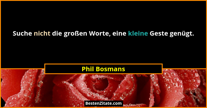 Suche nicht die großen Worte, eine kleine Geste genügt.... - Phil Bosmans