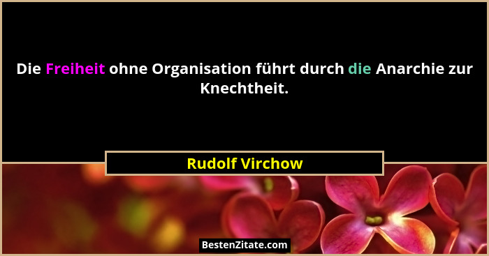 Die Freiheit ohne Organisation führt durch die Anarchie zur Knechtheit.... - Rudolf Virchow