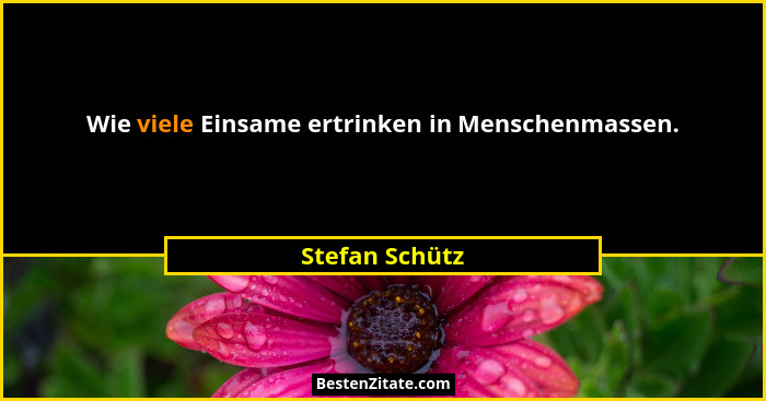 Wie viele Einsame ertrinken in Menschenmassen.... - Stefan Schütz
