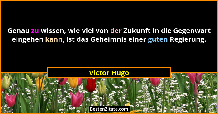 Genau zu wissen, wie viel von der Zukunft in die Gegenwart eingehen kann, ist das Geheimnis einer guten Regierung.... - Victor Hugo
