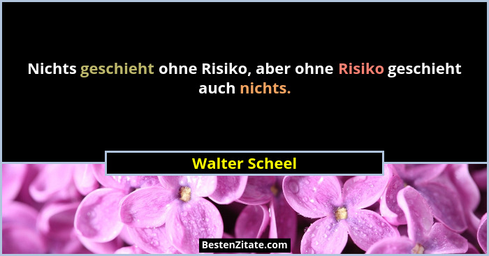 Nichts geschieht ohne Risiko, aber ohne Risiko geschieht auch nichts.... - Walter Scheel