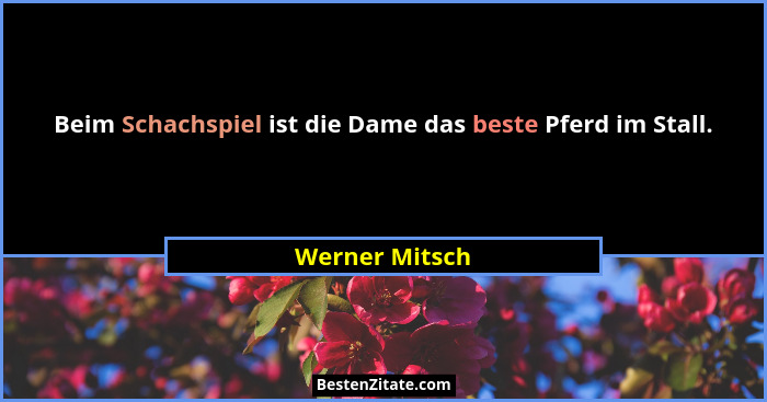 Beim Schachspiel ist die Dame das beste Pferd im Stall.... - Werner Mitsch