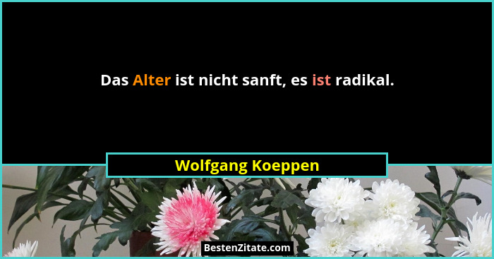 Das Alter ist nicht sanft, es ist radikal.... - Wolfgang Koeppen