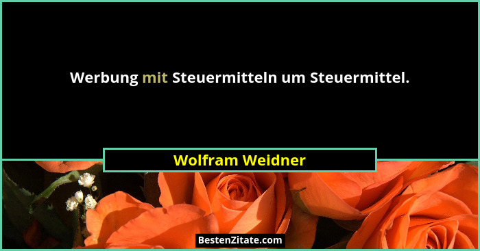 Werbung mit Steuermitteln um Steuermittel.... - Wolfram Weidner