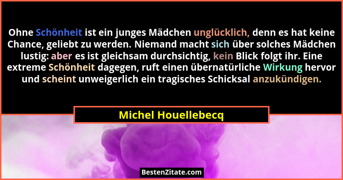 Ohne Schönheit ist ein junges Mädchen unglücklich, denn es hat keine Chance, geliebt zu werden. Niemand macht sich über solches M... - Michel Houellebecq