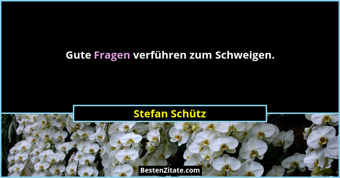 Gute Fragen verführen zum Schweigen.... - Stefan Schütz