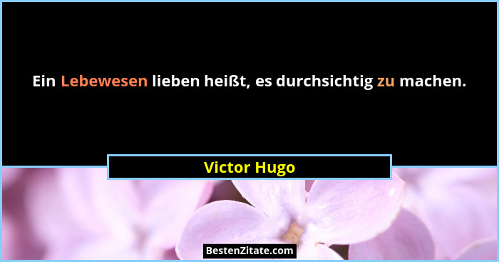 Ein Lebewesen lieben heißt, es durchsichtig zu machen.... - Victor Hugo