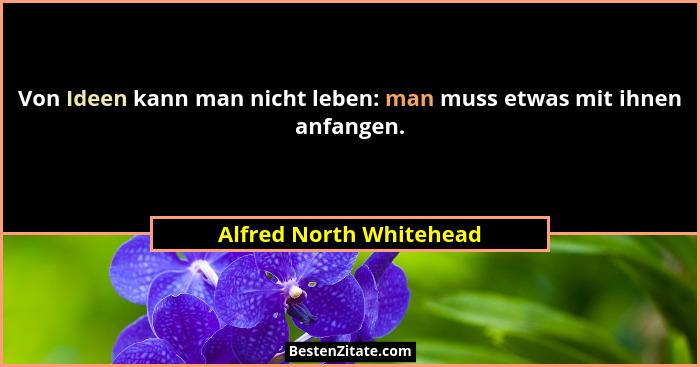 Von Ideen kann man nicht leben: man muss etwas mit ihnen anfangen.... - Alfred North Whitehead