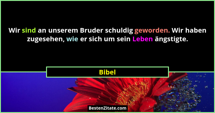 Wir sind an unserem Bruder schuldig geworden. Wir haben zugesehen, wie er sich um sein Leben ängstigte.... - Bibel