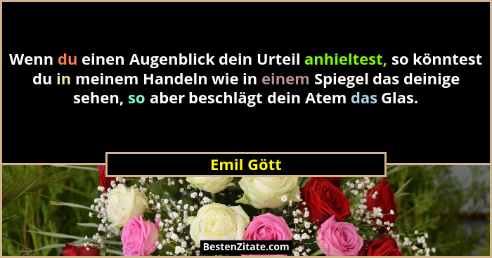 Wenn du einen Augenblick dein Urteil anhieltest, so könntest du in meinem Handeln wie in einem Spiegel das deinige sehen, so aber beschläg... - Emil Gött