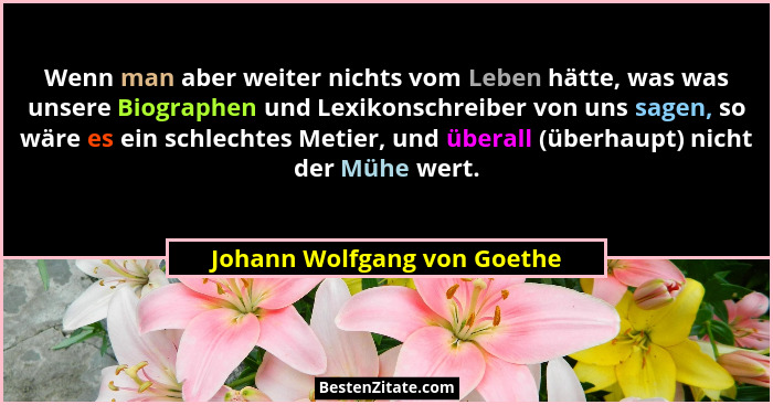 Wenn man aber weiter nichts vom Leben hätte, was was unsere Biographen und Lexikonschreiber von uns sagen, so wäre es ein... - Johann Wolfgang von Goethe
