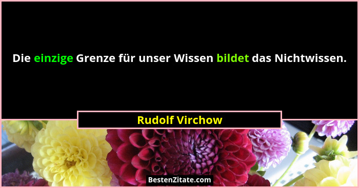 Die einzige Grenze für unser Wissen bildet das Nichtwissen.... - Rudolf Virchow