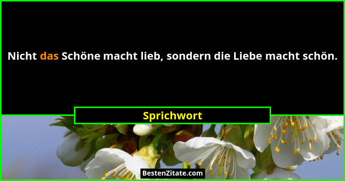 Nicht das Schöne macht lieb, sondern die Liebe macht schön.... - Sprichwort