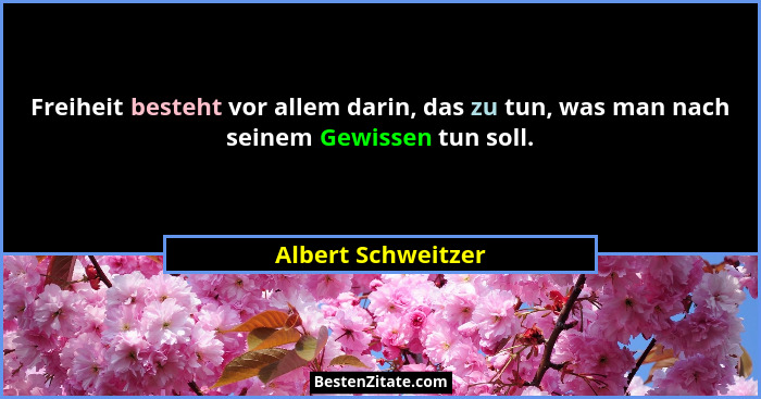 Freiheit besteht vor allem darin, das zu tun, was man nach seinem Gewissen tun soll.... - Albert Schweitzer