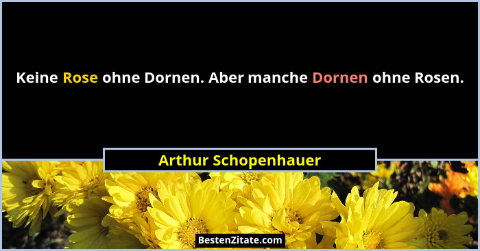 Keine Rose ohne Dornen. Aber manche Dornen ohne Rosen.... - Arthur Schopenhauer