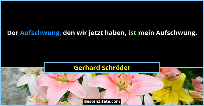 Der Aufschwung, den wir jetzt haben, ist mein Aufschwung.... - Gerhard Schröder