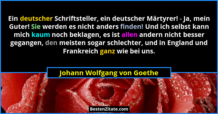 Ein deutscher Schriftsteller, ein deutscher Märtyrer! - Ja, mein Guter! Sie werden es nicht anders finden! Und ich selbst... - Johann Wolfgang von Goethe