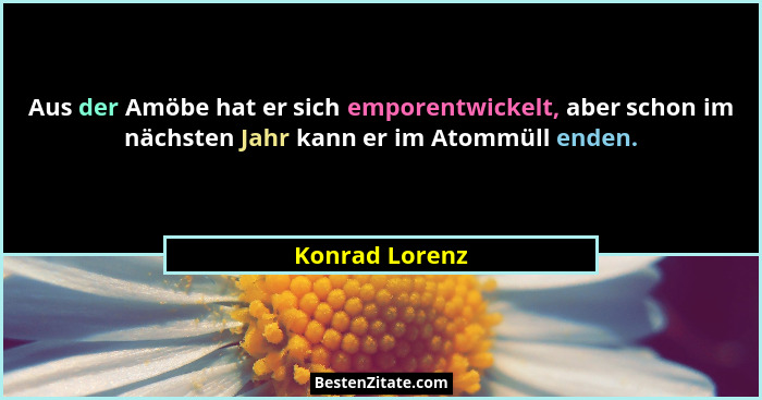 Aus der Amöbe hat er sich emporentwickelt, aber schon im nächsten Jahr kann er im Atommüll enden.... - Konrad Lorenz