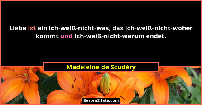 Liebe ist ein Ich-weiß-nicht-was, das Ich-weiß-nicht-woher kommt und Ich-weiß-nicht-warum endet.... - Madeleine de Scudéry
