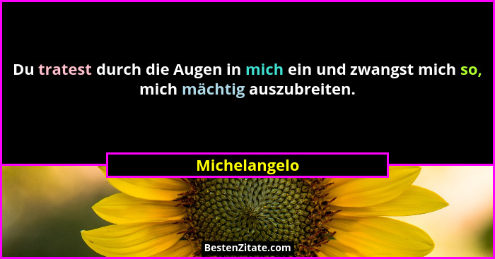 Du tratest durch die Augen in mich ein und zwangst mich so, mich mächtig auszubreiten.... - Michelangelo