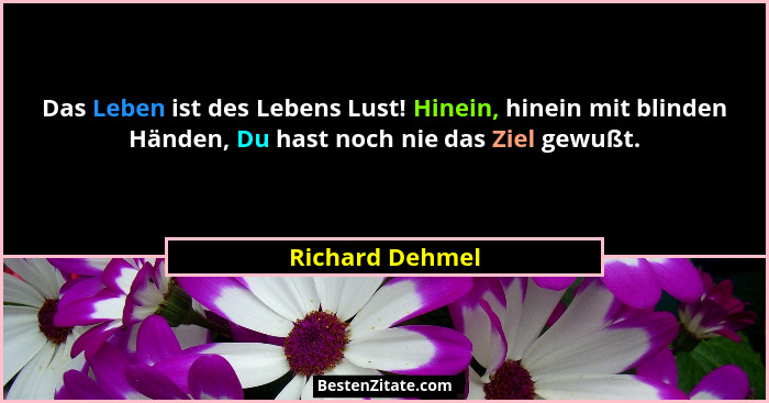 Das Leben ist des Lebens Lust! Hinein, hinein mit blinden Händen, Du hast noch nie das Ziel gewußt.... - Richard Dehmel