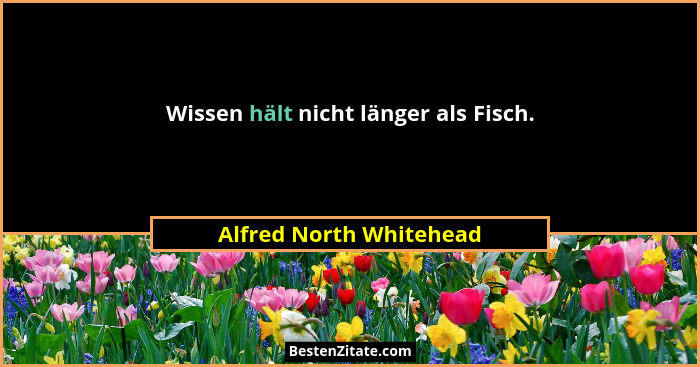 Wissen hält nicht länger als Fisch.... - Alfred North Whitehead