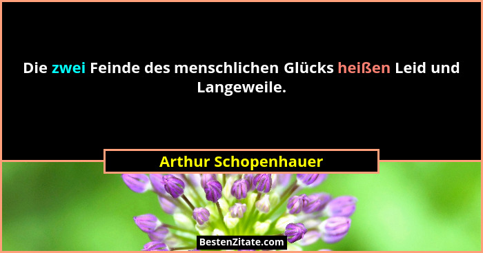 Die zwei Feinde des menschlichen Glücks heißen Leid und Langeweile.... - Arthur Schopenhauer