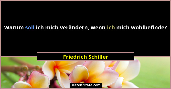 Warum soll ich mich verändern, wenn ich mich wohlbefinde?... - Friedrich Schiller